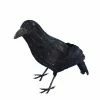 Smiffys USA Decorations & Props Crow Prop