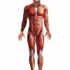 Smiffys USA Costumes Anatomy Man Men's Adult Costume 2 Smiffys USA Costumes Anatomy Man Men's Adult Costume