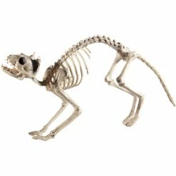 Smiffys USA Cat Skeleton Prop