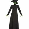 Smiffys USA Wicked Witch Women's Costume Costumes