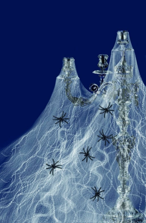 Smiffys USA Medium Spider Web Decoration Decorations & Props 3 Smiffys USA Medium Spider Web Decoration Decorations & Props