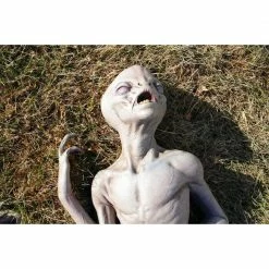 Distortions Alien Death Realistic Halloween Prop