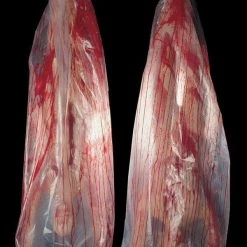 Distortions Decorations & Props Body Bag With Life Sized Bloody Body Inside