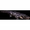 Distortions 12 FT Florida Alligator Realistic Display Prop Decorations & Props