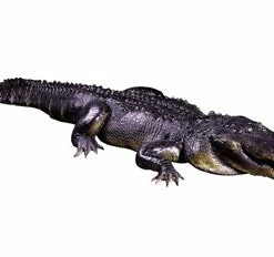 Distortions 12 FT Florida Alligator Realistic Display Prop Decorations & Props