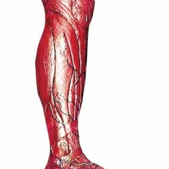 Morris Costumes Decorations & Props Skinned Right Leg Prop