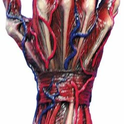 Morris Costumes Skinned Right Hand Prop