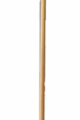 Morris Costumes Kings Staff Gold 5foot