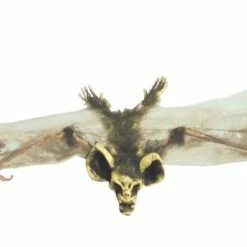 Morris Costumes Bat With Skull Head Small Brown Decorations & Props