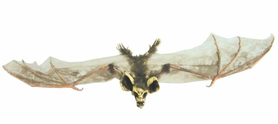 Morris Costumes Bat With Skull Head Small Brown Decorations & Props 3 Morris Costumes Bat With Skull Head Small Brown Decorations & Props