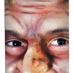 Cinema Secrets Woochie Witch Nose Small