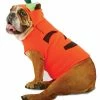 Paper Magic Zelda Wisdom Zelda Pumpkin Pet Costume Medium Costumes