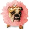 Paper Magic Costumes Zelda Wisdom Queen Zelda Pet Tutu & Crown Costume