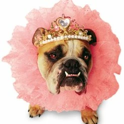 Paper Magic Costumes Zelda Wisdom Queen Zelda Pet Tutu & Crown Costume