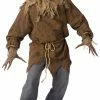 Fun World Wizard Of Oz, Scarecrow Adult Costume Costumes