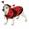 Rubie's Lady Bug Pet Costume