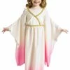 Fun World Athena Greek Roman Pink Ombre Toddler Costume