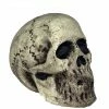 Seasonal Visions Rotting Skull Prop Decorations & Props