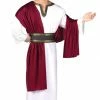 Fun World Costumes Caesar Men's Deluxe Adult Costume 2 Fun World Costumes Caesar Men's Deluxe Adult Costume