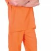 Underwraps Men's Public Offender Costume