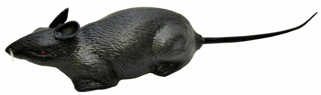 Forum Novelties Decorations & Props Rat Individual 3 Forum Novelties Decorations & Props Rat Individual