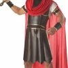 California Costumes Men's Hercules Costume 2 California Costumes Men's Hercules Costume