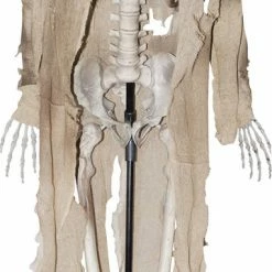 Sunstar Decorations & Props Talking Light Up Animated Skeleton