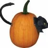 Sunstar Decorations & Props Cat Pumpkin Push In 1 Sunstar Decorations & Props Cat Pumpkin Push In