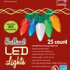 Golden Bay 25 Count C9 Ceramic Style Christmas Holiday Indoor/Outdoor Lights