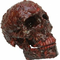 Ghoulish Decorations & Props Blood Scab Resin Skull Prop