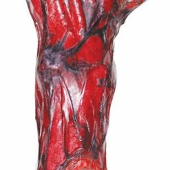 Sunstar Burnt Arm Decorations & Props