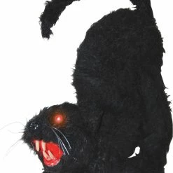 Sunstar Cat With Lights & Sound