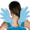 Disguise My Little Pony Rainbow Dash Adult Wings