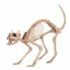 Seasons USA Skeleton Kitty Bonez
