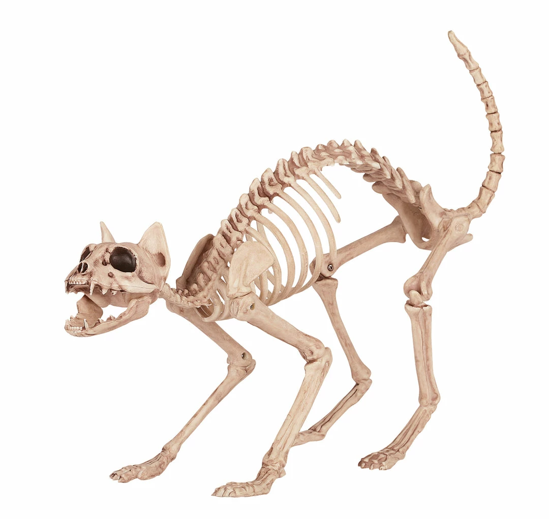 Seasons USA Skeleton Kitty Bonez 3 Seasons USA Skeleton Kitty Bonez