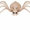 Seasons USA Skeleton Spider 1 Seasons USA Skeleton Spider