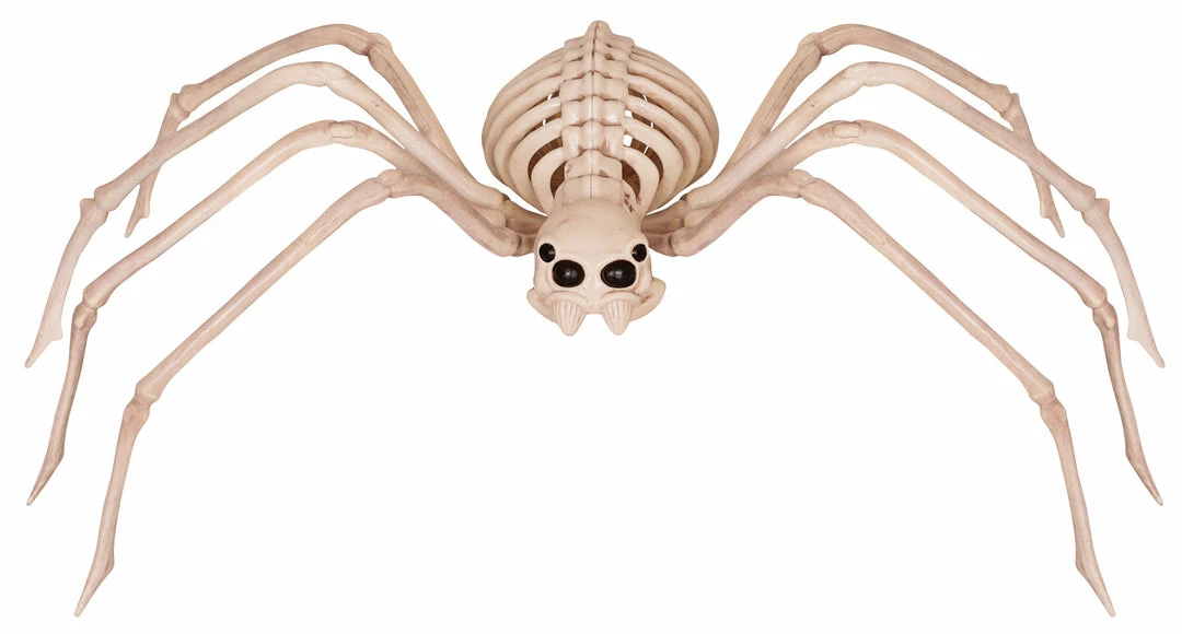 Seasons USA Skeleton Spider 3 Seasons USA Skeleton Spider