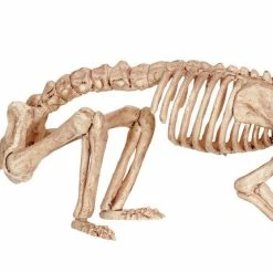Seasons USA Decorations & Props Rat Skeleton
