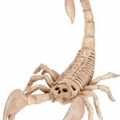Seasons USA Scorpion Skeleton