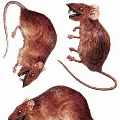 Forum Novelties Rat 3 D Cling