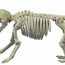 Seasons USA Beagle Bonez