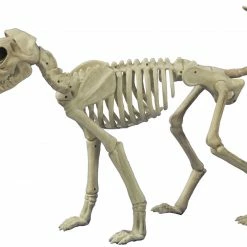 Seasons USA Buster Bonez