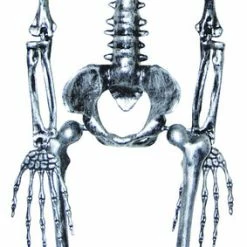 Sunstar Skeleton Steel Gray 35 Inches Decorations & Props