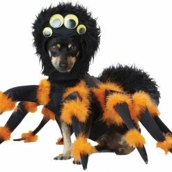 California Costumes Spider Pup Dog Costume