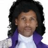 Underwraps TV & Movie Costumes 80s Pop Star Wig 1 Underwraps TV & Movie Costumes 80s Pop Star Wig