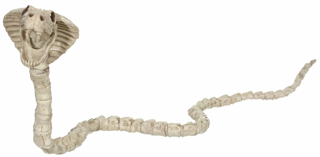 Seasons USA Skeleton Cobra Decorations & Props 3 Seasons USA Skeleton Cobra Decorations & Props