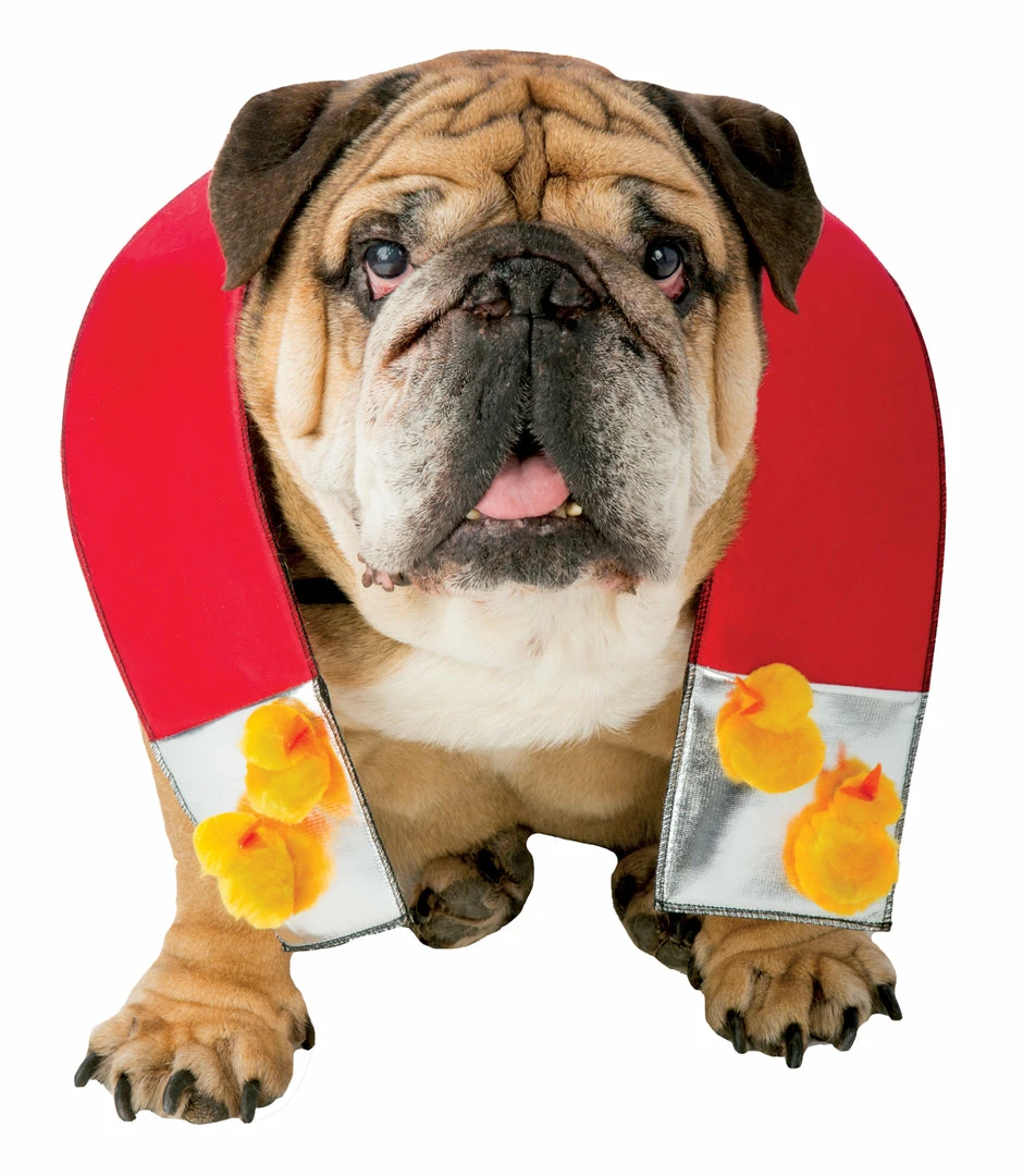 Rasta Imposta Zelda Chick Magnet Dog Costume 3 Rasta Imposta Zelda Chick Magnet Dog Costume