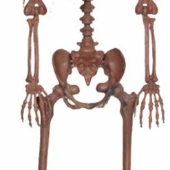 Seasons USA Decayed Pose N Stay Skeleton Prop Decoration