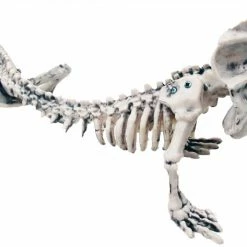 Sunstar Skeleton Lizard 16 Inches Decorations & Props