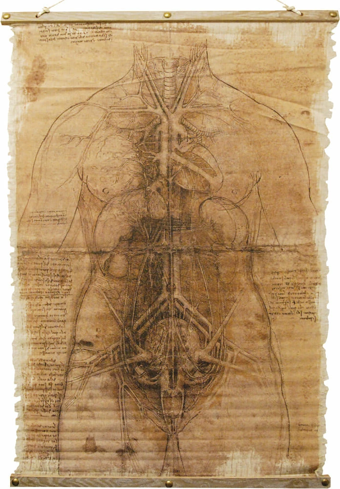 Sunstar Scroll Skeleton 3 Sunstar Scroll Skeleton